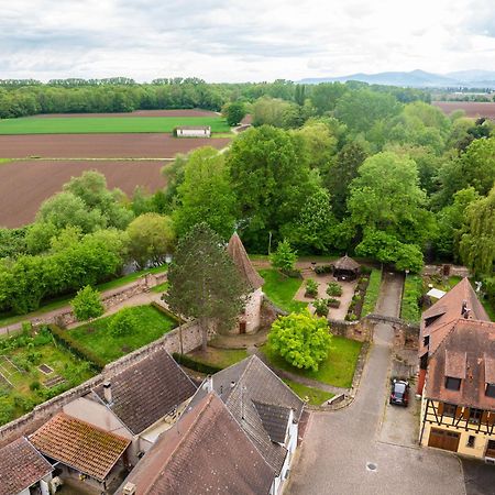 La Ruine - Gite D'Alsace Jusqu'A 10 Personnes Avec Spa Interieur Guémar Eksteriør bilde